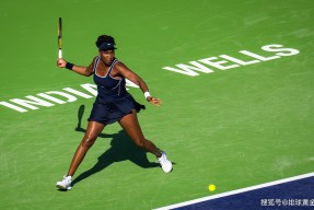 科维托娃重返赛场，重返赛场首场状态出色，曼联观众沸腾！(世锦赛最新金牌榜排名)-爱游戏