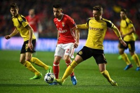  多特蒙德vs勒沃库森今日精选推荐 -ayx爱游戏真人娱乐